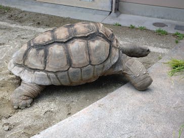 名古屋市東山動植物園に投稿された画像（2025/5/11）