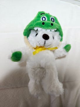 ひらかたパークに投稿された画像（2025/5/11）