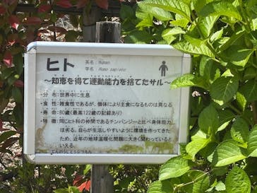 天王寺動物園に投稿された画像（2025/5/11）