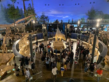 福井県立恐竜博物館に投稿された画像（2025/5/11）