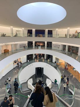 福井県立恐竜博物館に投稿された画像（2025/5/11）