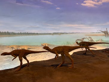 福井県立恐竜博物館に投稿された画像（2025/5/11）