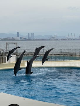 マリンワールド海の中道に投稿された画像（2025/5/11）