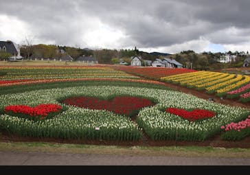 牧歌の里に投稿された画像（2025/5/11）