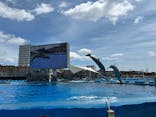名古屋港水族館に投稿された画像（2025/5/11）