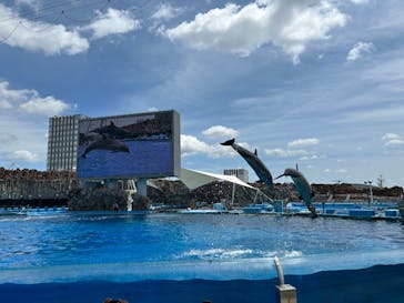名古屋港水族館に投稿された画像（2025/5/11）