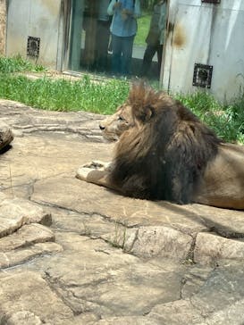 千葉市動物公園に投稿された画像（2025/5/11）