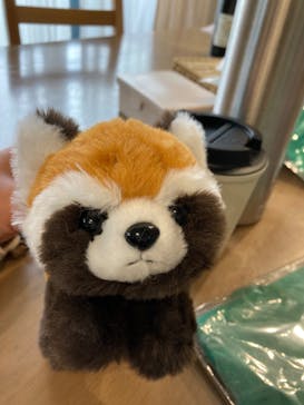 千葉市動物公園に投稿された画像（2025/5/11）