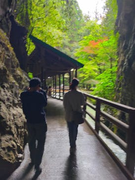 秋芳洞に投稿された画像（2025/5/11）