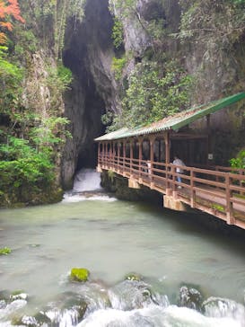 秋芳洞に投稿された画像（2025/5/11）