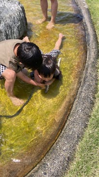 戸村川魚店　香取本店に投稿された画像（2025/5/11）