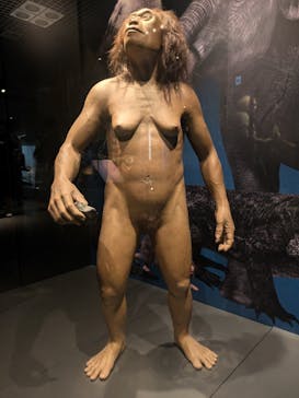 国立科学博物館に投稿された画像（2025/5/11）