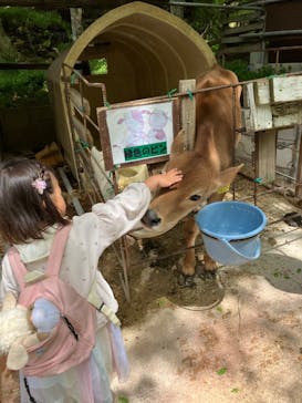 神戸市立六甲山牧場に投稿された画像（2025/5/11）