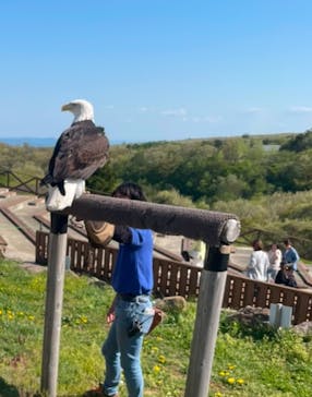 那須どうぶつ王国に投稿された画像（2025/5/11）
