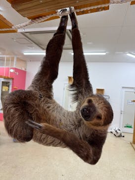 アニタッチ MARK IS 静岡に投稿された画像（2025/5/11）