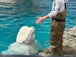 名古屋港水族館に投稿された画像（2025/5/11）