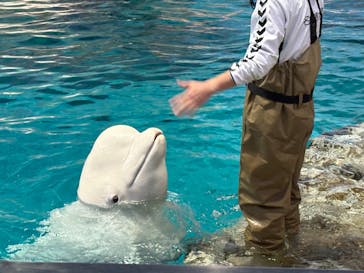 名古屋港水族館に投稿された画像（2025/5/11）