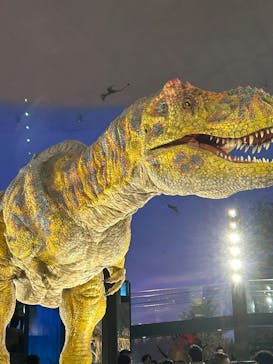 福井県立恐竜博物館に投稿された画像（2025/5/11）