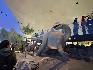 福井県立恐竜博物館に投稿された画像（2025/5/11）