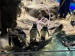 すみだ水族館に投稿された画像（2025/5/12）