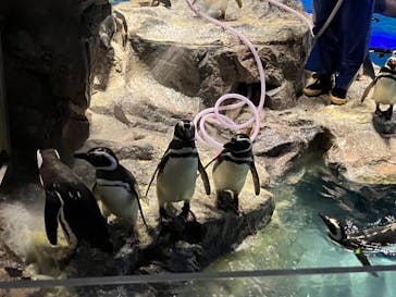 すみだ水族館に投稿された画像（2025/5/11）
