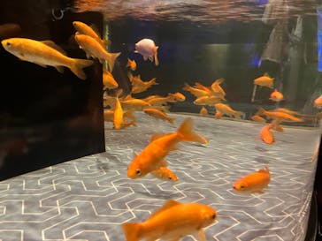 すみだ水族館に投稿された画像（2025/5/11）