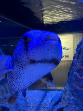 すみだ水族館に投稿された画像（2025/5/11）