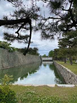 元離宮二条城に投稿された画像（2025/5/11）