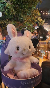 サンリオピューロランドに投稿された画像（2025/5/11）