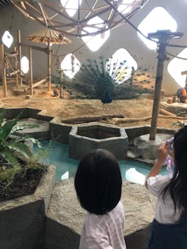 NIFREL（ニフレル）に投稿された画像（2025/5/11）