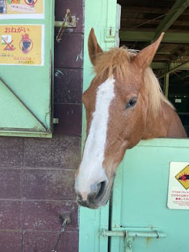 マザー牧場に投稿された画像（2025/5/11）