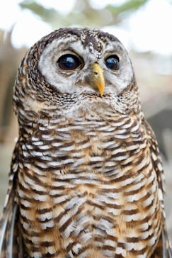 伊豆シャボテン動物公園に投稿された画像（2025/5/11）