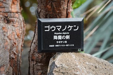 伊豆シャボテン動物公園に投稿された画像（2025/5/11）