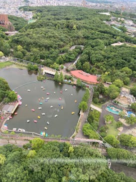 名古屋市東山動植物園に投稿された画像（2025/5/11）