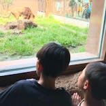 日立市かみね動物園に投稿された画像（2025/5/12）