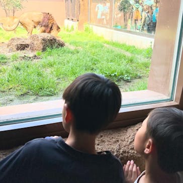 日立市かみね動物園に投稿された画像（2025/5/11）