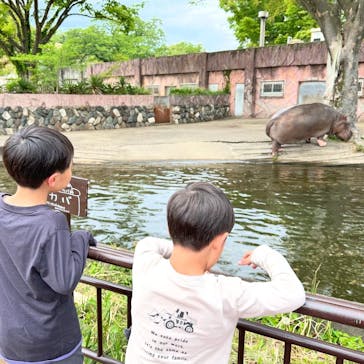 日立市かみね動物園に投稿された画像（2025/5/11）