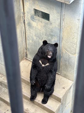 日立市かみね動物園に投稿された画像（2025/5/11）