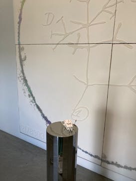 金沢21世紀美術館に投稿された画像（2025/5/11）