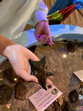 あわしまマリンパークに投稿された画像（2025/5/11）