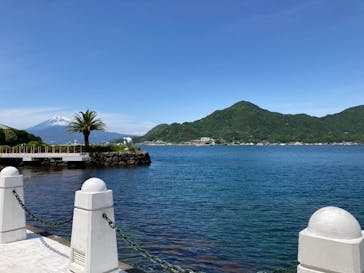 あわしまマリンパークに投稿された画像（2025/5/11）