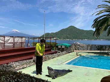 あわしまマリンパークに投稿された画像（2025/5/11）