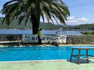 あわしまマリンパークに投稿された画像（2025/5/11）