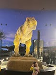 福井県立恐竜博物館に投稿された画像（2025/5/12）