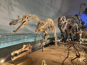 福井県立恐竜博物館に投稿された画像（2025/5/12）