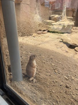 那須どうぶつ王国に投稿された画像（2025/5/12）