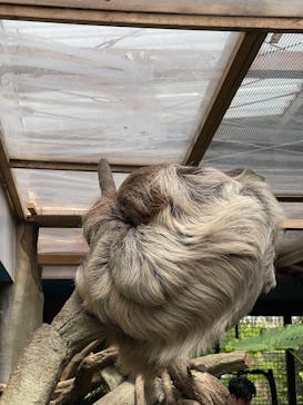 那須どうぶつ王国に投稿された画像（2025/5/12）