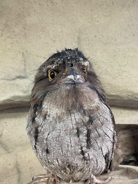 那須どうぶつ王国に投稿された画像（2025/5/12）