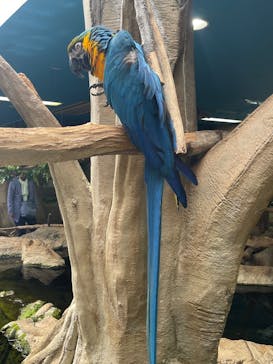 那須どうぶつ王国に投稿された画像（2025/5/12）