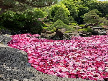 日本庭園　由志園に投稿された画像（2025/5/12）